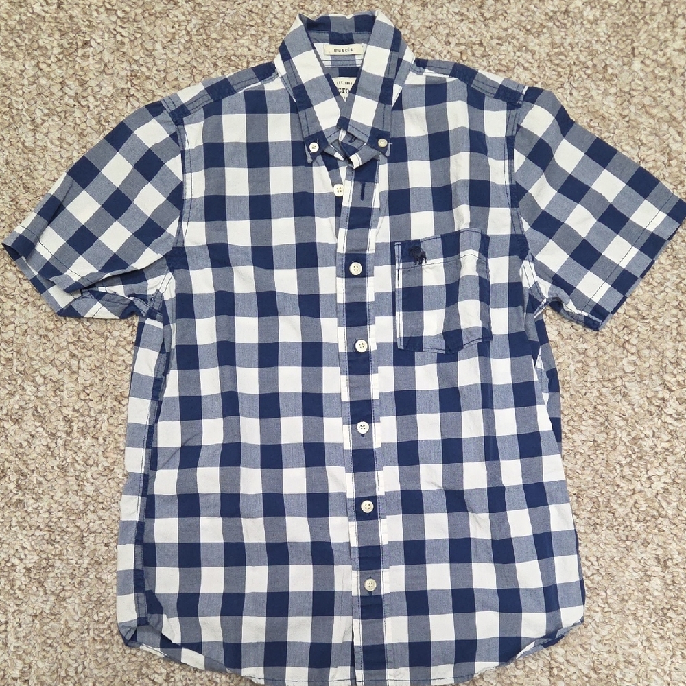 Abercrombie Kids Blue and White Checkered Button-Down Shirt
